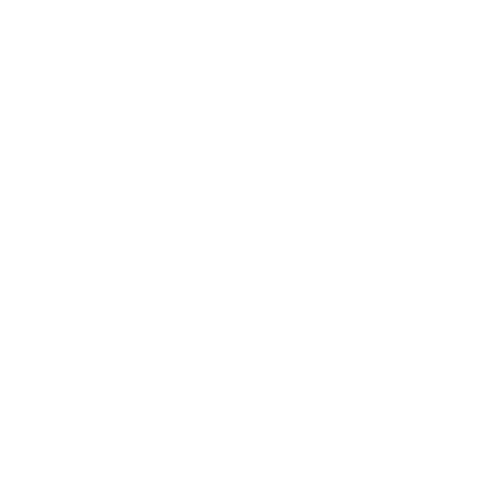 CalisthenicsMastery